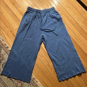 Citizens of Humanity Blue Wide-Leg Cropped Sweatpants